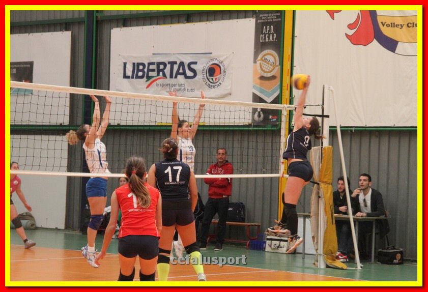 140223 cegap 264_tn.jpg